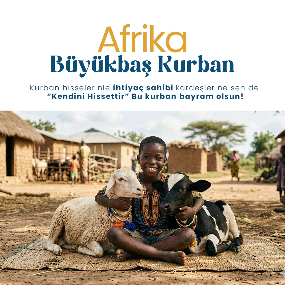 Afrika Büyükbaş Kurban Hisse